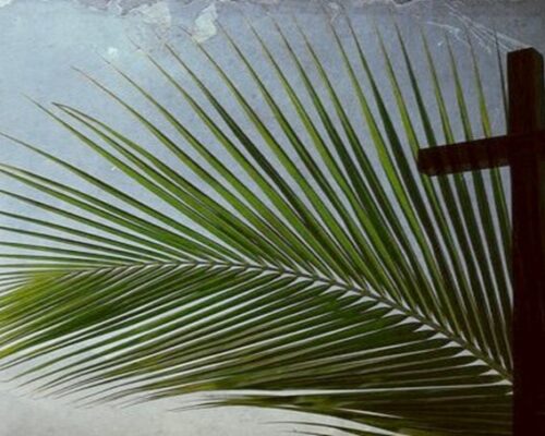 Palm Sunday – Why? (Matthew 21:1-22)